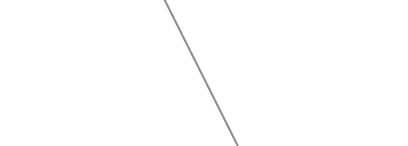 Janitorial Service